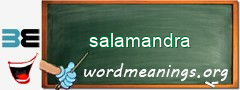 WordMeaning blackboard for salamandra